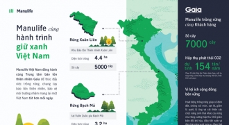 Manulife Việt Nam cùng khách hàng trồng rừng, hướng tới một tương lai bền vững