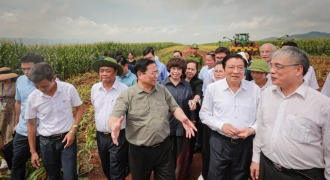 Thủ tướng Chính phủ thăm vùng sản xuất nông nghiệp công nghệ cao của Tập đoàn TH