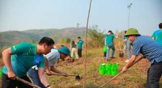 Ngân hàng BIDV góp phần phủ xanh tại Lai Châu
