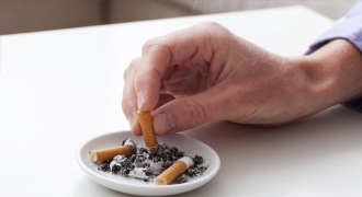 Hơn 8 triệu người tử vong vì thuốc lá mỗi năm
