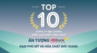TOP 10 công ty đại chúng hiệu quả nhất năm 2023: Ấn tượng HDBank, Đạm Phú Mỹ và Hóa dầu Đức Giang