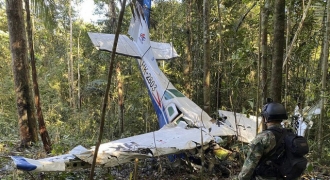 4 đứa trẻ gặp tai nạn máy bay làm gì để sống sót trong rừng Amazon suốt 40 ngày?
