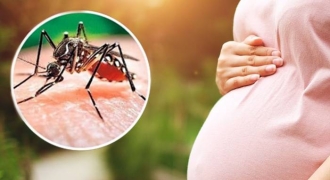 Phụ nữ mang thai mắc sốt xuất huyết có nguy cơ tử vong cao