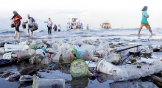 Phân loại rác thải nhựa tại gia đình: Thói quen nhỏ bảo vệ sự sống