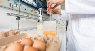 Trứng gà nhiễm thuốc trừ sâu: Hành trình từ châu Âu sang châu Á