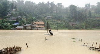  Lào cai: 150 hộ dân bị cô lập do mưa lớn, nông nghiệp thiệt hại nặng