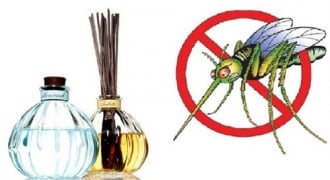 Mẹo diệt muỗi truyền bệnh sốt xuất huyết nhanh và hiệu quả