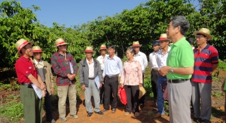 NESCAFÉ Plan tập huấn lập kế hoạch sản xuất kinh doanh cho nông dân sản xuất cà phê