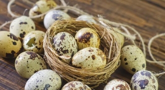 Ăn trứng cút mỗi ngày giúp tăng cường tuổi thọ?