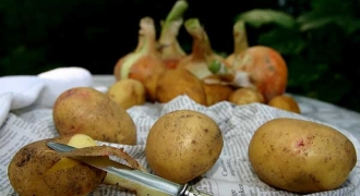 Hãy đọc bài viết này để không bao giờ bỏ phí vỏ khoai tây