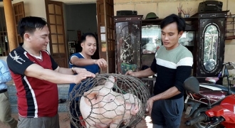 Gia đình thủ môn Bùi Tiến Dũng mổ lợn khao làng trước trận bán kết Việt Nam – Qatar