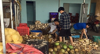 Quảng Nam: Phát hiện một cơ sở dùng hóa chất tẩy trắng vỏ dừa