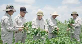 Thăm vùng trồng đậu nành dược liệu đầu tiên tại Việt Nam đạt tiêu chuẩn Quốc tế