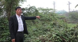 Văn phòng Chính phủ yêu cầu tỉnh Nghệ An giải quyết khiếu nại thu hồi gần 1.000m2 đất TP. Vinh