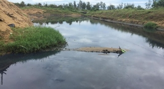 Hà Tĩnh: Dân kêu trời không thấu vì ô nhiễm từ hồ tôm