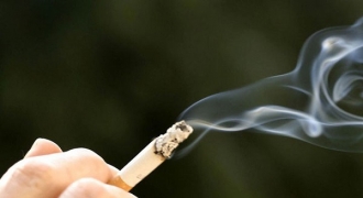 Khói thuốc lá chứa tới 69 loại hóa chất gây ung thư