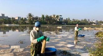 Cận cảnh khắc phục sự cố hàng ngàn lít dầu tràn ra ruộng tại Thanh Hóa