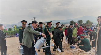 Quảng Ninh hưởng ứng 'Tết trồng cây đời đời nhớ ơn Bác Hồ' Xuân Kỷ Hợi