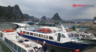 ‘Loạn’ giá vé tàu cao tốc đi tuyến đảo Vân Đồn, Quảng Ninh