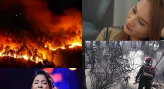 Mỹ Linh, Hoà Minzy... và nhiều nghệ sĩ Việt đau xót khi chứng kiến cháy rừng ở Hà Tĩnh