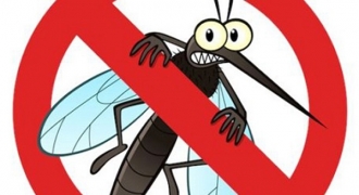 5 cách xua đuổi muỗi không dùng hóa chất đơn giản đến bất ngờ