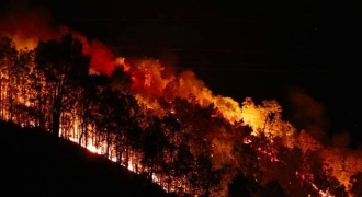 Hà Tĩnh: Chưa kịp dập tắt, núi Nầm - Hương Sơn bùng cháy trở lại