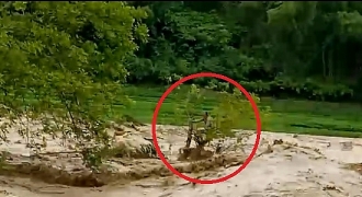 Thanh Hóa: Người đàn ông đu ngọn cây thoát chết giữa nước lũ cuồn cuộn