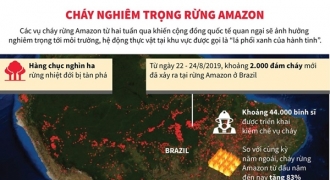 Chuyên gia công bố nguyên nhân khiến rừng Amazon chìm trong biển lửa