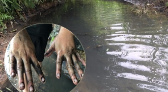 Sự cố nước sạch sông Đà: Khởi tố vụ án hình sự