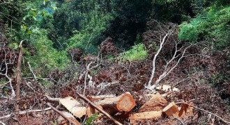 Quảng Trị: Cán bộ quản lý rừng bị kẻ lạ mặt hành hung ngay tại cơ quan