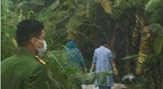 Phát hiện thi thể đang phân hủy trong vườn chuối tại Ninh Bình