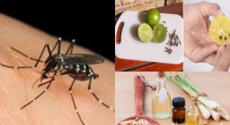 Mùa hè tới, học ngay 10 mẹo đuổi muỗi hiệu quả từ nguyên liệu tại nhà