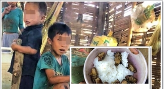 4 đứa trẻ lem luốc với bữa cơm nguội và món ve sầu khiến nhiều người xót xa