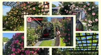 Khu vườn ngập tràn rau quả quê và hoa hồng ngoại của gia đình Việt ở Hungary