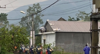 Sạt lở thủy điện Rào Trăng 3 tại Thừa Thiên Huế, có người tử vong