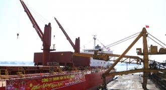Xuất 25.000 tấn than ‘xông’ Cảng Cẩm Phả mùng 1 Tết