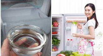 Điều kỳ diệu gì xảy ra khi để một bát nước vào tủ lạnh qua đêm?