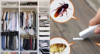 8 lý do khiến ngôi nhà trở thành nơi trú ẩn của vi khuẩn, côn trùng