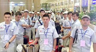 Sunrise Việt Nam thông báo đổi Giấy phép đưa người lao động đi làm việc ở nước ngoài