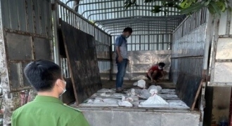 Bắt lô hàng 12 tấn quặng thiếc tại Nghệ An