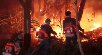 Nghệ An nâng cấp độ cảnh báo cháy rừng lên mức cực kỳ nguy hiểm