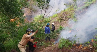Chủ vườn cây chết cháy tại hiện trường vụ hoả hoạn ở Can Lộc - Hà Tĩnh