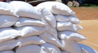 Nghệ An phân bổ 341 tấn gạo cứu đói cho dân vùng dịch