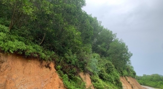 Tiếp sự việc đất rừng đấu giá được sang tên cho cá nhân: Bất nhất ý kiến của huyện và Sở TN&MT Hà Tĩnh