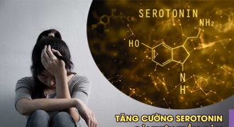 Tăng cường serotonin cải thiện trầm cảm hiệu quả nhờ thảo dược
