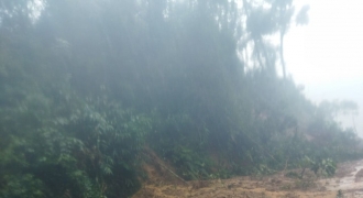Sạt lở đồi sau mưa lớn ở Quảng Nam
