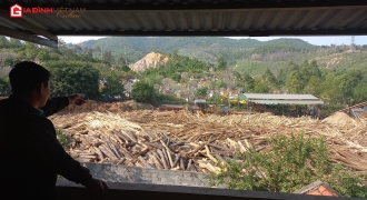Quảng Ninh: Nhiều gia đình bức xúc vì xưởng gỗ công ty Lâm Nghiệp Vân Đồn gây ồn, bụi