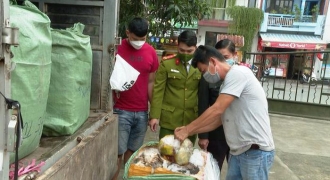Chở hơn 1 tấn nội tạng động vật từ Đà Nẵng ra Huế tiêu thụ