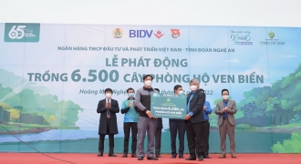 Đầu Xuân, BIDV trồng 6.500 cây phòng hộ ven biển tại Nghệ An