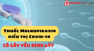 Vì sao sử dụng thuốc Molnupiravir điều trị Covid-19 không nên có bầu sau 3 tháng?
